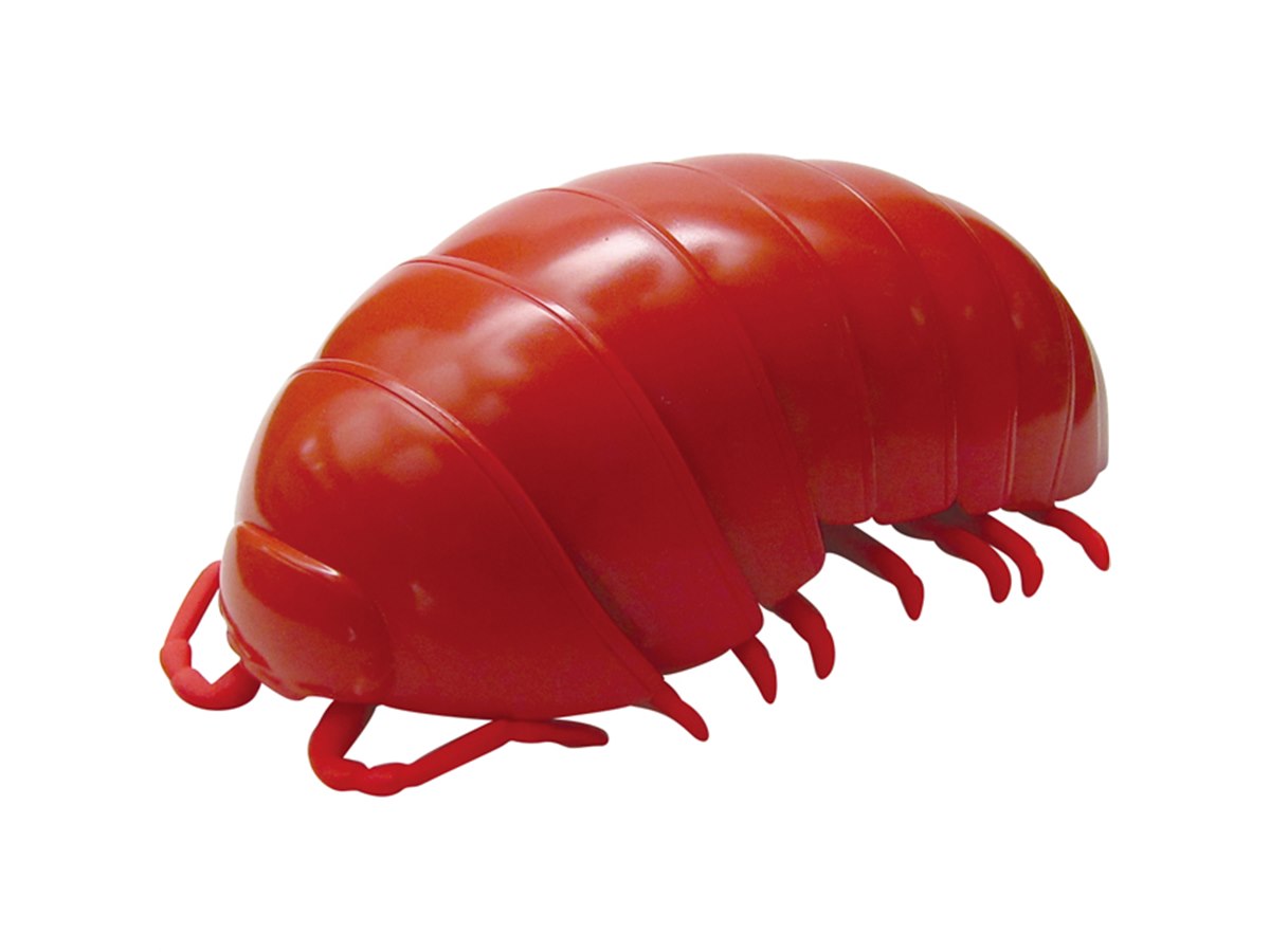 20180823140424_56_.jpg