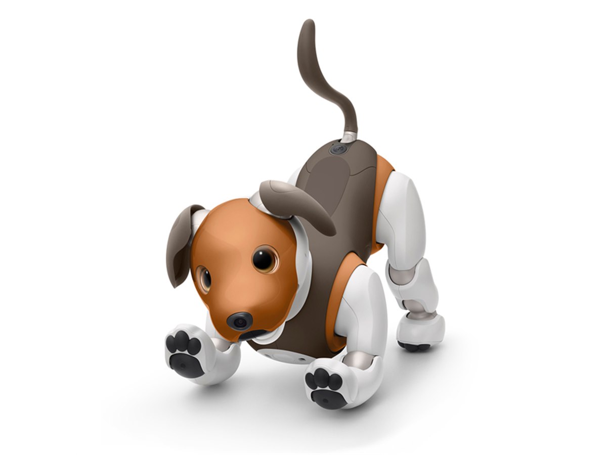 ソニー、aibo（アイボ）の2019年限定カラーモデル「チョコ エディション」発表 - 価格.com