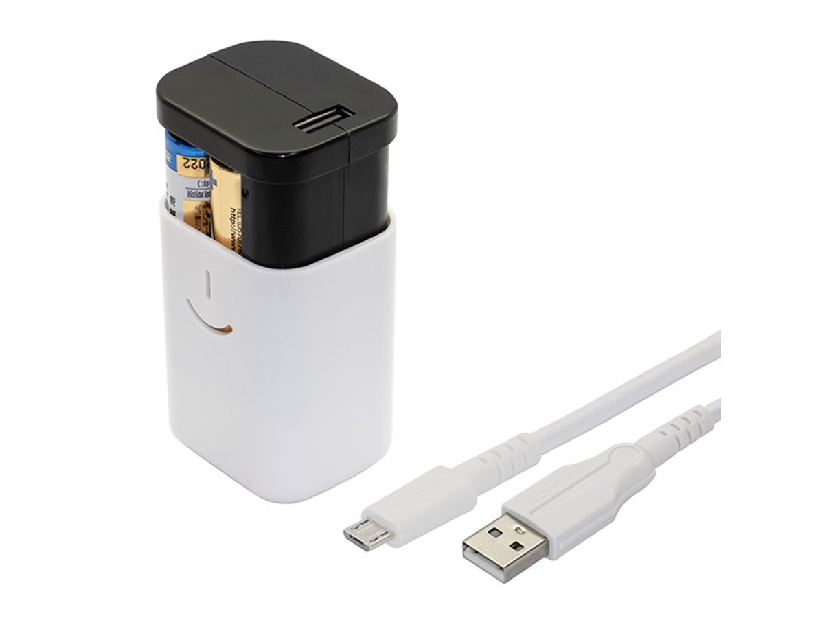 オウルテック、乾電池式モバイルバッテリー「電池でGO!!USBタイプ
