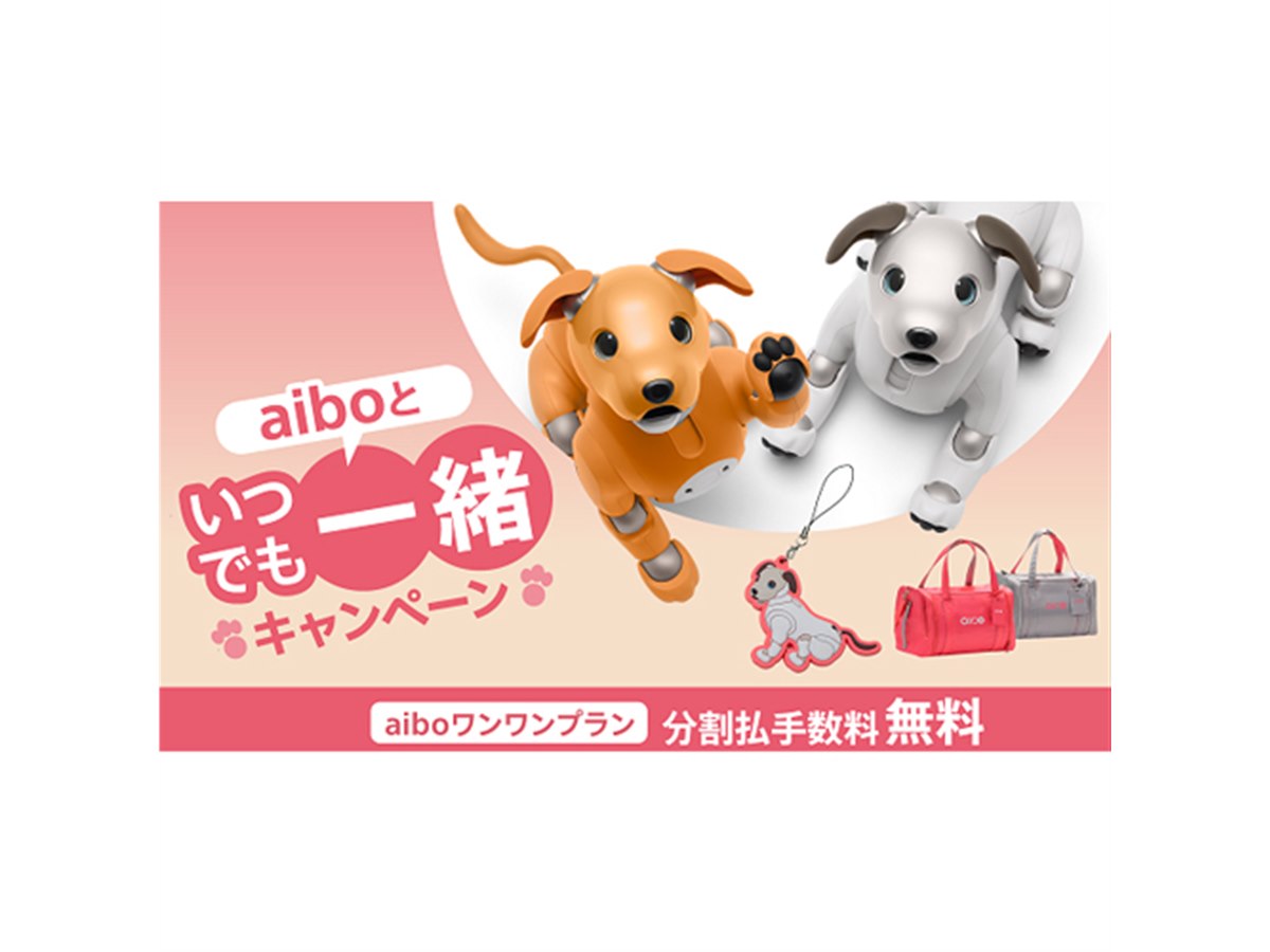 ソニーが「aiboといつでも一緒キャンペーン」開始、5月31日まで - 価格.com