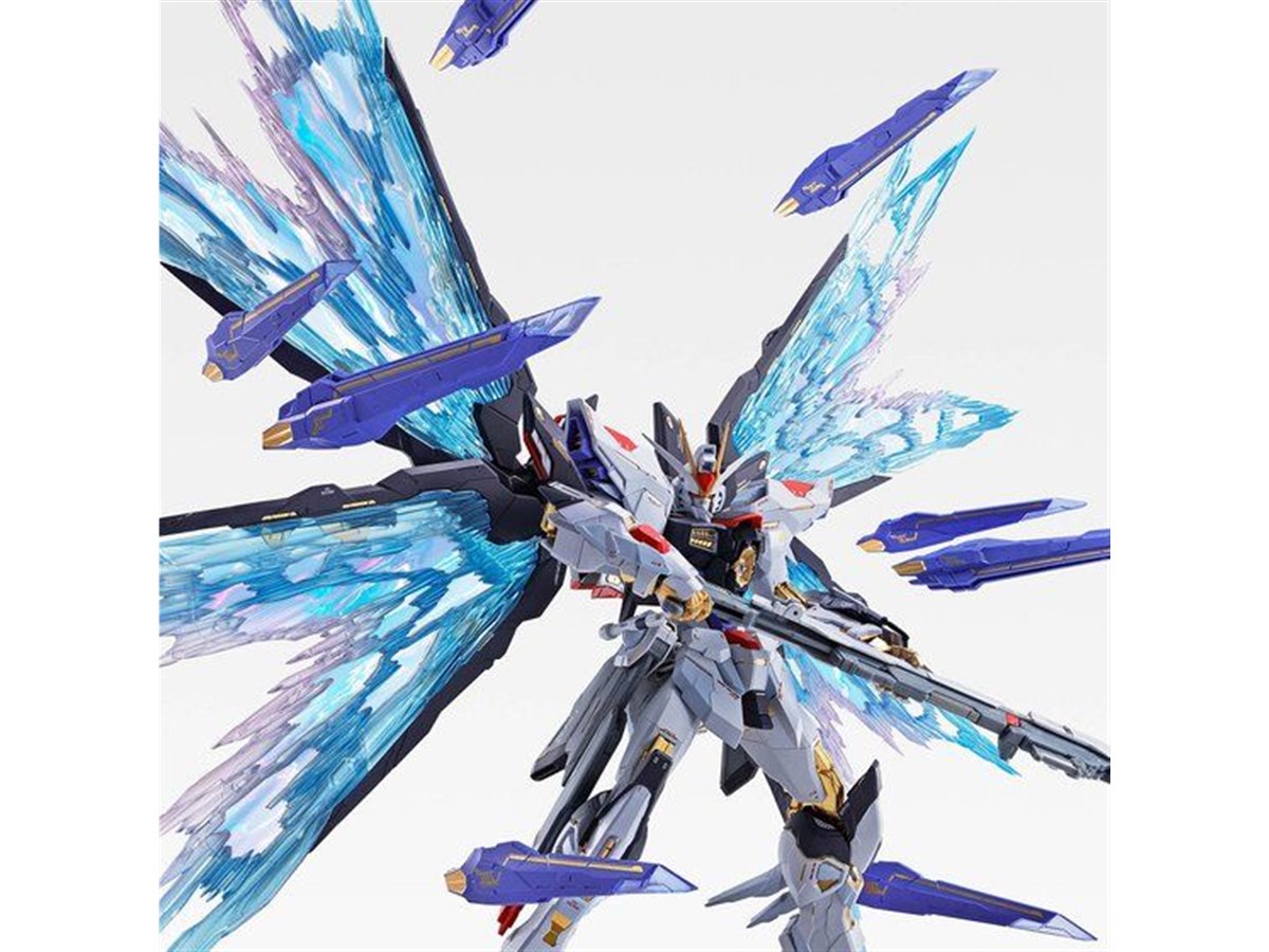 ストライクフリーダムガンダム ＆光の翼 METAL ROBOT魂 ＜SIDE MS＞ ストライクフリーダムガンダム[Re