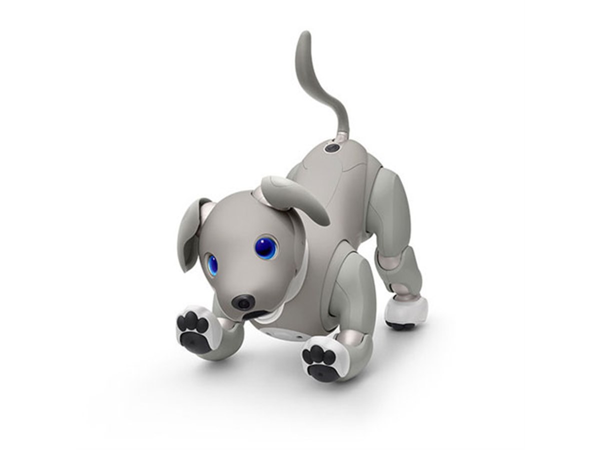 ソニー、aibo（アイボ）の2021年限定カラーモデル「aibo 黒ごま エディション」 - 価格.com