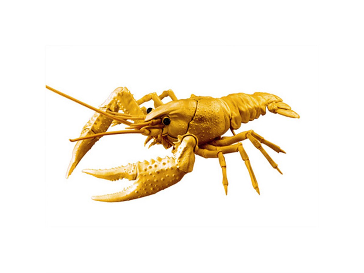 リアルすぎる生体再現度、全長23cmの「アメリカザリガニ 」ゴールド版
