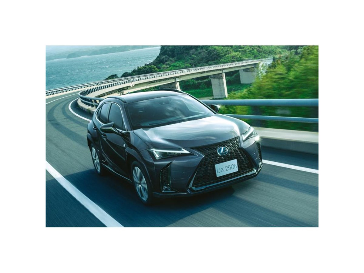 レクサス　ベア　Fスポーツ LEXUS NX F SPORT PARTS(TRD) | TRD