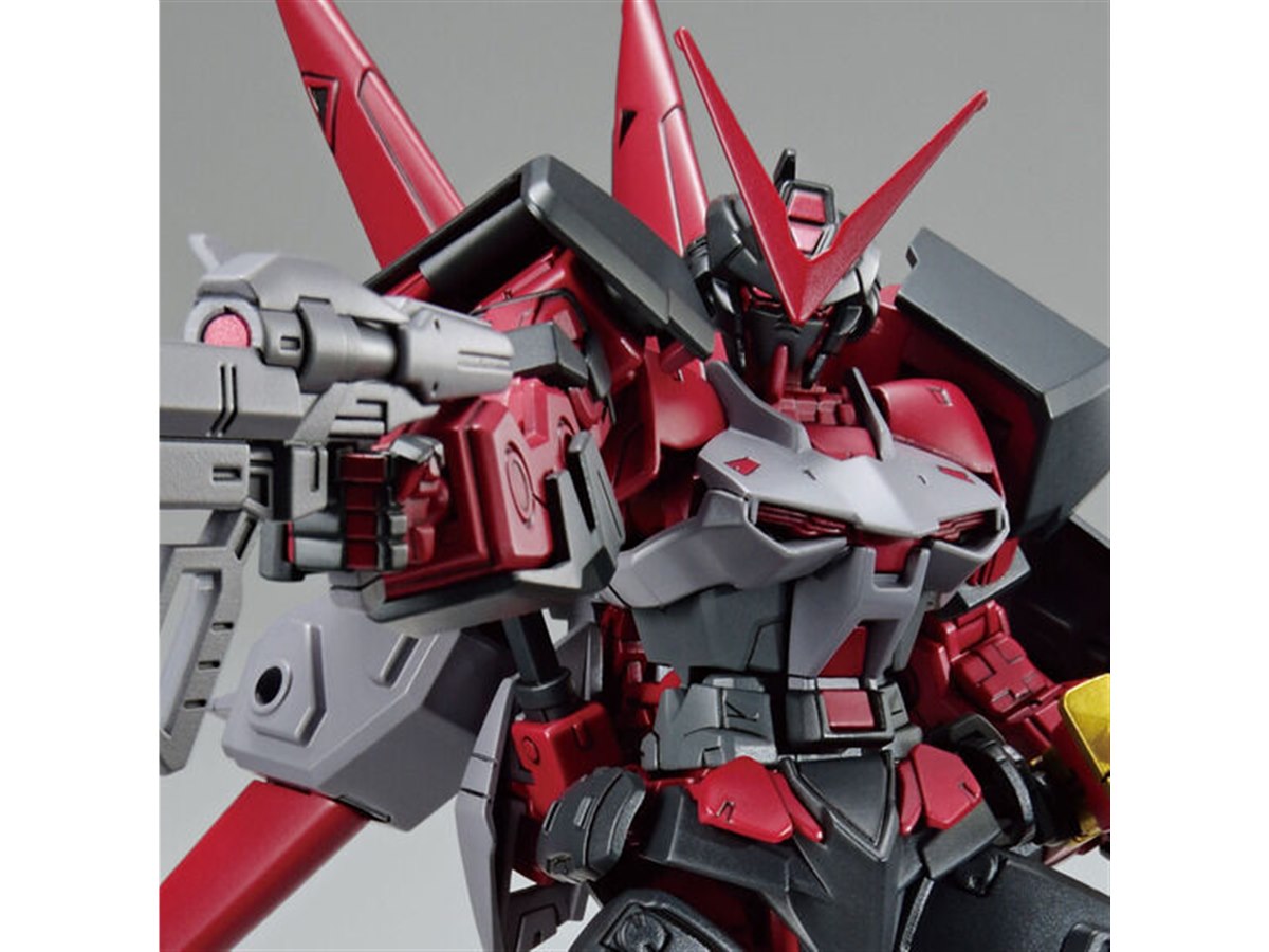 アストレイ系 HGガンプラまとめ売り 未組立 HG ガンプラまとめ売り ガンダムSEED ASTRAY アストレイ
