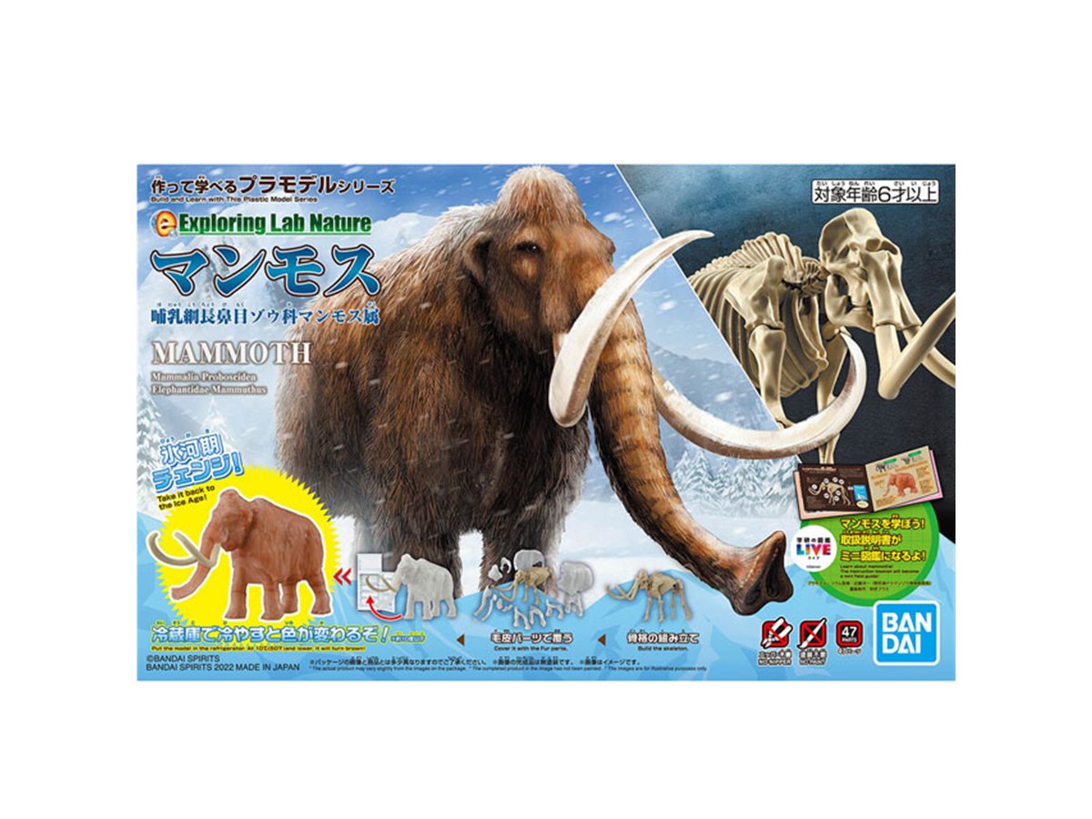 冷蔵庫で冷やすとマンモスが復元」10度を下回ると色が変わる