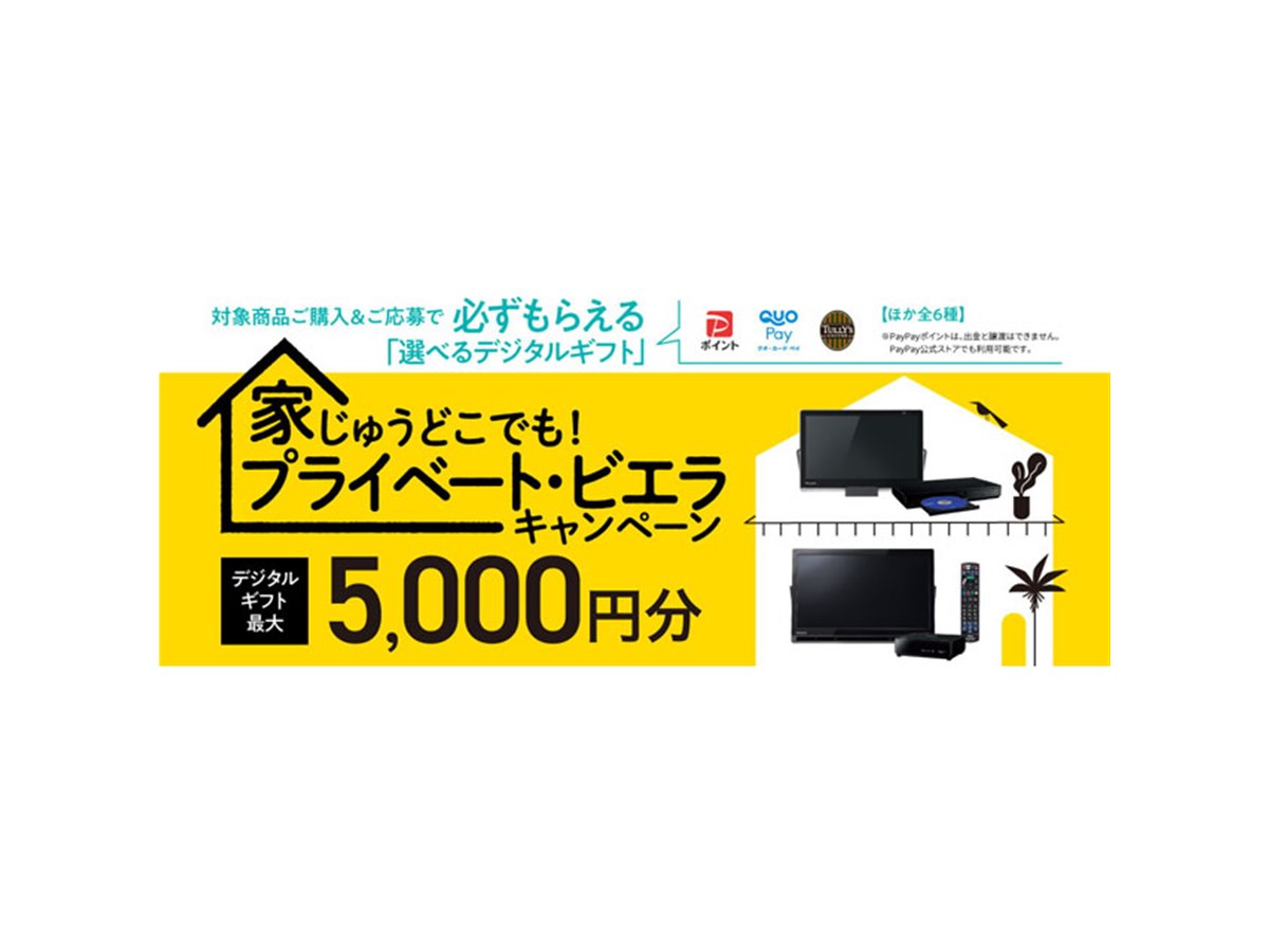 今日中のお取引限定価格！Panasonic プライベートVIERA パナソニック