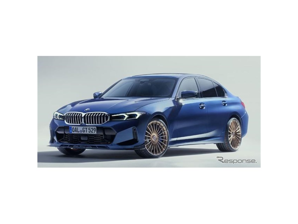 【新品、未使用】　アルピナ　ALPINA jrベスト　脊椎保護 新品、未使用】 アルピナ ALPINA jrベスト 脊椎保護 新品、未使用