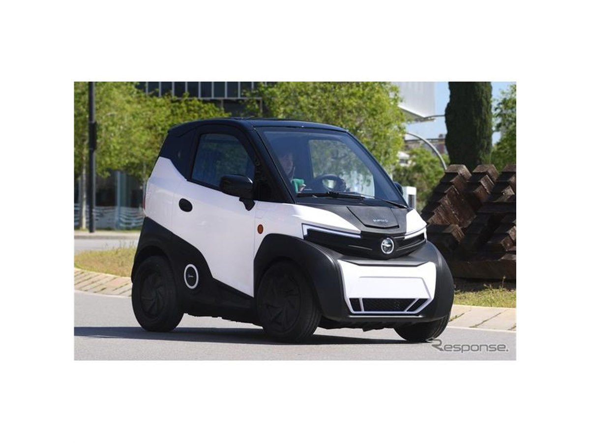 新鮮なミニナス19キロ miniature-japanese-garden-