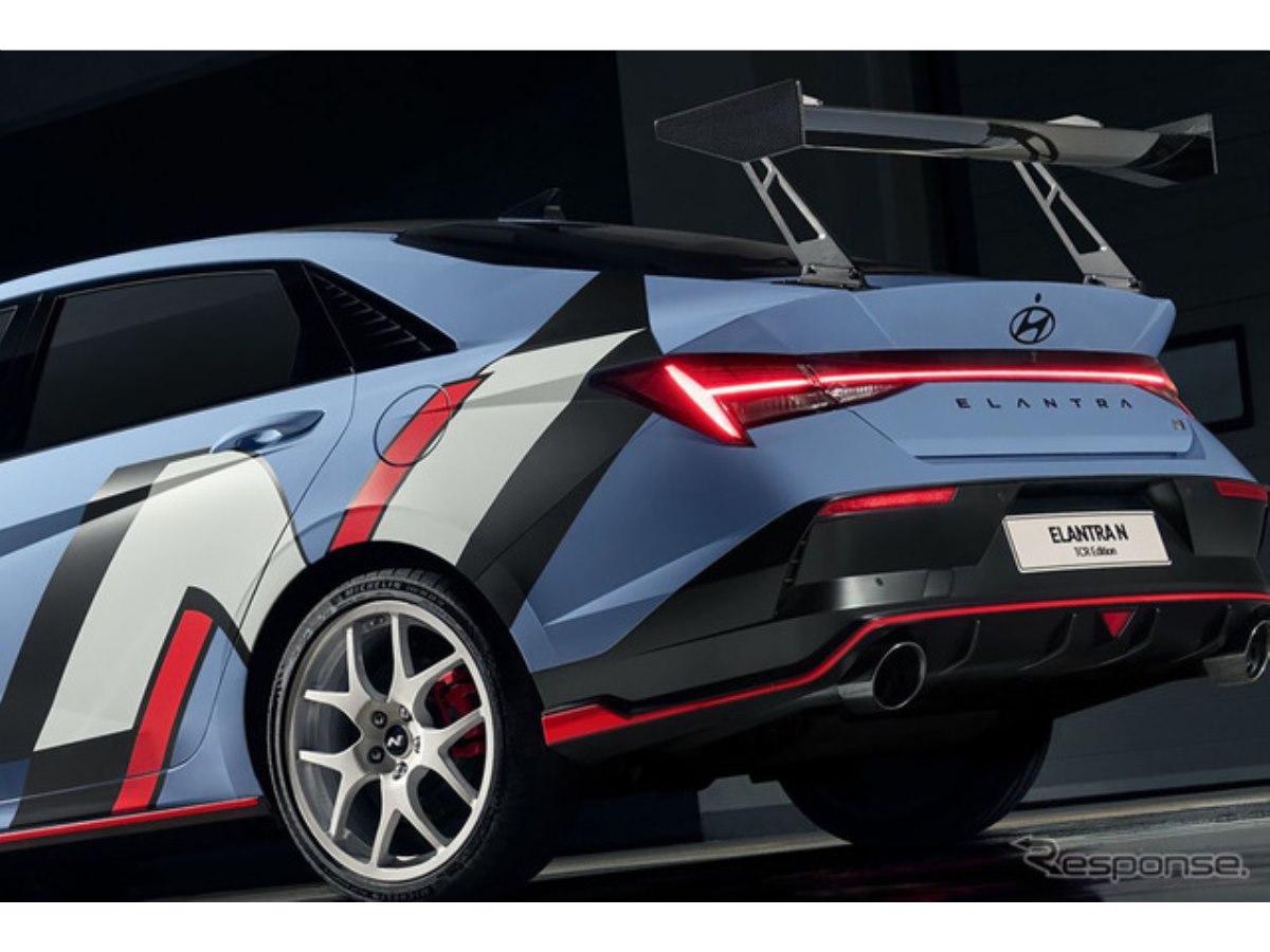 B*E様 【300円スタート/特大50㎝超】US産 トランカータ ハンティントン