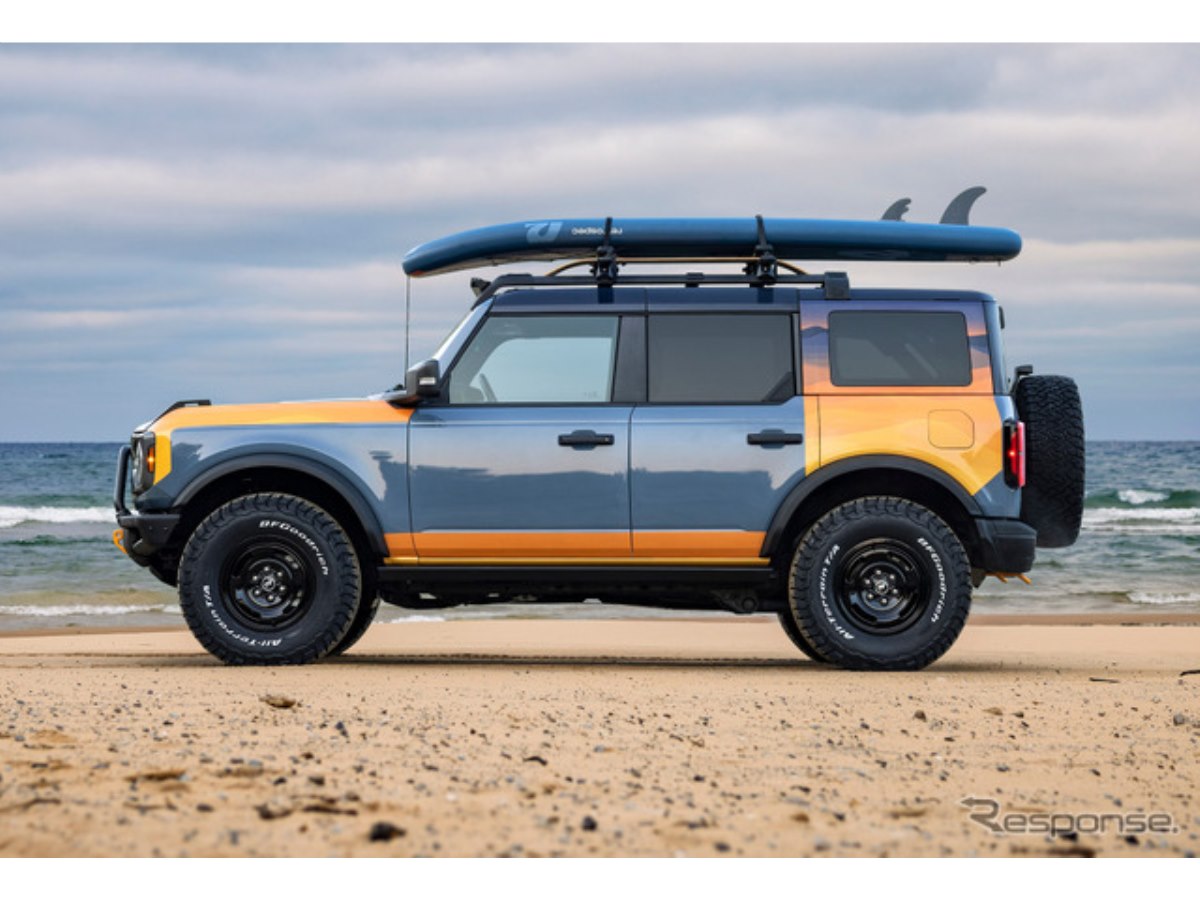 その他 Doragonhawk Ford pro Year of the snake その他 Doragonhawk Ford pro Year of the snake Doragonhawk