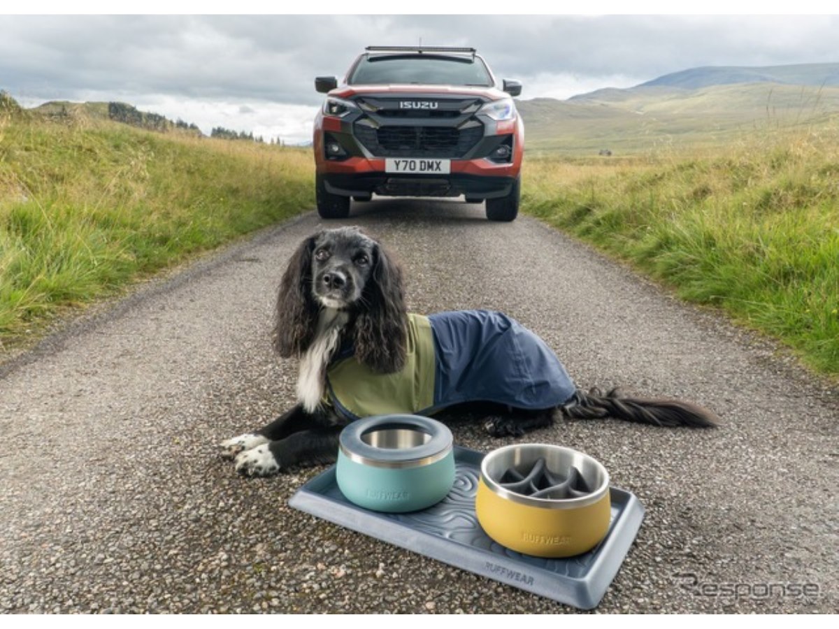 車のトランクフェンスペット犬隔離保護ネット丈夫で耐久性のある弾性隔離ネットペット安全フェンスあらゆる車両用 - AliExpress 15 4Knines 犬 車 ドアカバー 車 トラック SUV用 - 米国に拠点を置く会社 - ドアガード 2枚(各サイドに1つ) (グレ