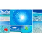 データクラフト、素材集「花遊都<友禅-日本の花>」 - 価格.com