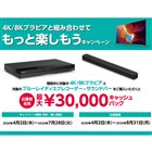 ソニー 対象ブラビア購入者へ ネット動画2か月無料プレゼントキャンペーン 価格 Com