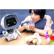 �\�t�g�o���N�A�w�K�^�̃p�[�g�i�[���{�b�g�u���j�{�i�ƒ�����j�v�戵�J�n