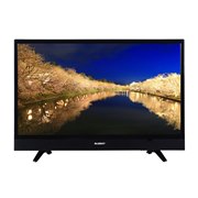 BLUEDOT�A19,800�~��24V�^�t���e���r�uBTV-2410K�v