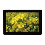 MARSHAL�A21,800�~��10.1�^Android 7.0�^�u���b�g�uMAL-FWTVTB01�v