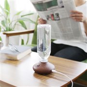 ��a�A�R���p�N�g�ȃy�b�g�{�g����������u-wood- PR-HF017�v