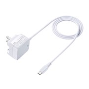 �T�����AUSB Type-C�P�[�u����̌^AC�[�d��uACA-PD60W�v