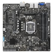 ASUS�A�f���A���M�K�r�b�gLAN�|�[�g���ڂ�microATX���[�N�X�e�[�V�����}�U�[