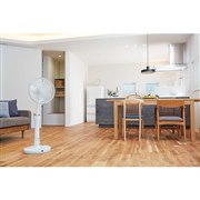 �A�s�b�N�X�A�����R������ō������������~����DC���r���O��@