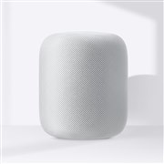 Apple HomePod 第1世代 MQHW2J/A [スペースグレイ] 価格比較