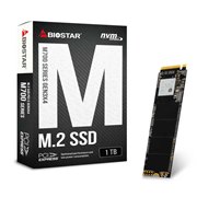 BIOSTAR、NVMe SSDと2.5インチSATA SSDの1TBモデル