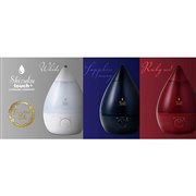 �A�s�b�N�X�A�������^�������2020�N���f���uAHD-021�v