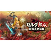 コーエーテクモゲームス ゼルダ無双 厄災の黙示録 [通常版