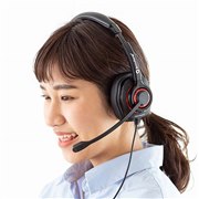 �T�����A�m�C�Y�L�����Z�����O�}�C�N�t����USB�w�b�h�Z�b�g