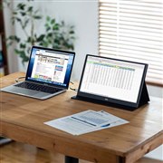 サンワ、USB Type-C接続に対応した15.8型モバイルディスプレイ「DP-03」
