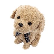 �Z�K�g�C�Y�A24��̓��Z���I����u�R�R�����������āv��{��7/29����