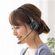 �T�����A�Ў��I�[�o�[�w�b�h�^�C�v��Bluetooth�w�b�h�Z�b�g