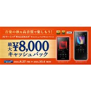 デジタルオーディオプレーヤー(DAP) 新製品ニュース - 価格.com