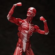���Ȏ��́u�l�̖͌^�v�����t�B�M���A�ɁA�{��8/31���\��J�n