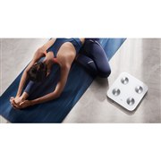 �t�@�[�E�F�C�A�N���E�h�Ƀf�[�^��������������̑g���v�uHUAWEI Scale 3�v���{������