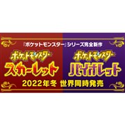 Nintendo Switchu|PbgX^[ XJ[bgEoCIbgv~