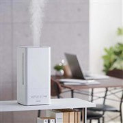 �G���R���A��_���������f�_���ɑΉ�����������uECLEAR MIST for PRO�v