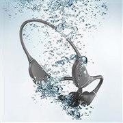 ロア・インターナショナル HACRAY SeaHorse HR22325 価格比較 - 価格.com