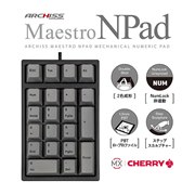 ARCHISSACHERRY MXXCb`7fpӂeL[uMaestro NPadv