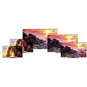 TVS REGZAA4KʎqhbgtOUuZ770LV[YvuZ670LV[Yv