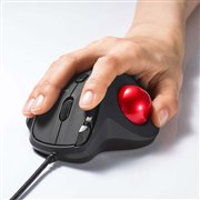 �T�����A�e�w�����G���S�m�~�N�X�`����̗p�����g���b�N�{�[��