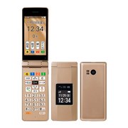 SHARP - 【新品未使用】かんたん携帯11 ゴールド ソフトバンク ガラケー　付属品付 SHARP - 【新品未使用】かんたん携帯11 ゴールド ソフトバンク
