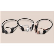 プレシードジャパン AVIOT Openpiece Elite WB-E1 価格比較