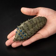 千値練　タケヤ式自在置物　風の谷のナウシカ　王蟲　フィギュア　クリア タケヤ式自在置物 風の谷のナウシカ 王蟲 クリア – 株式会社千値
