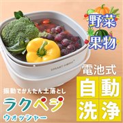 サンコー、果物や野菜の土汚れなどを落とす洗浄機「ラクベジウォッシャー」2,980円