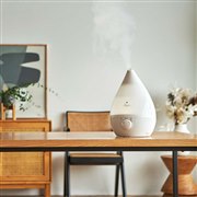 �A�s�b�N�X�A�n���h���`����������������g������uSHIZUKU�v2023�N���f��