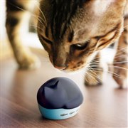 radius フルワイヤレスイヤホン NEKO ミックス HP-C28BTN HP-C28BT Bluetooth対応 完全ワイヤレスイヤホン NEKO 猫