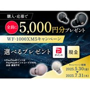 SONY WF-1000XM5 (B) [ブラック] 価格比較 - 価格.com