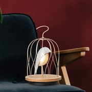 DAQICONCEPTAƂ炷ȒBluetoothXs[J[uJINGOOsv